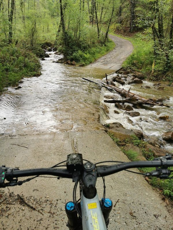 Cruce de un arroyo sobre una pista de hormig&oacute;n junto a una peque&ntilde;a cascada con troncos ca&iacute;dos, visto desde el manillar de la bicicleta