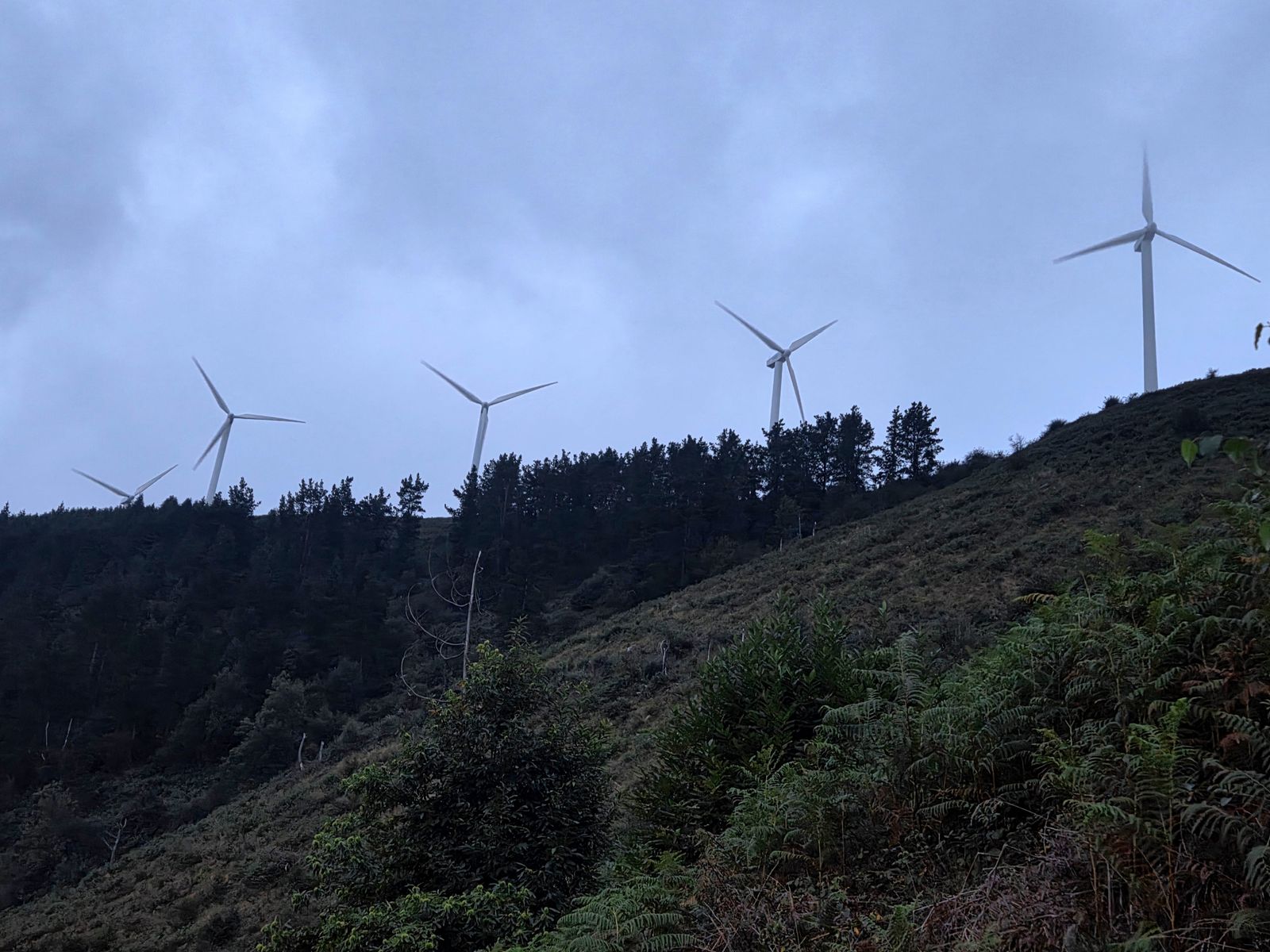Aerogeneradores del parque eólico del Oiz vistos desde la ruta