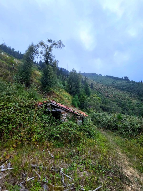 Sendero junto a una borda abandonada de tejado rojo, con los aerogeneradores al fondo