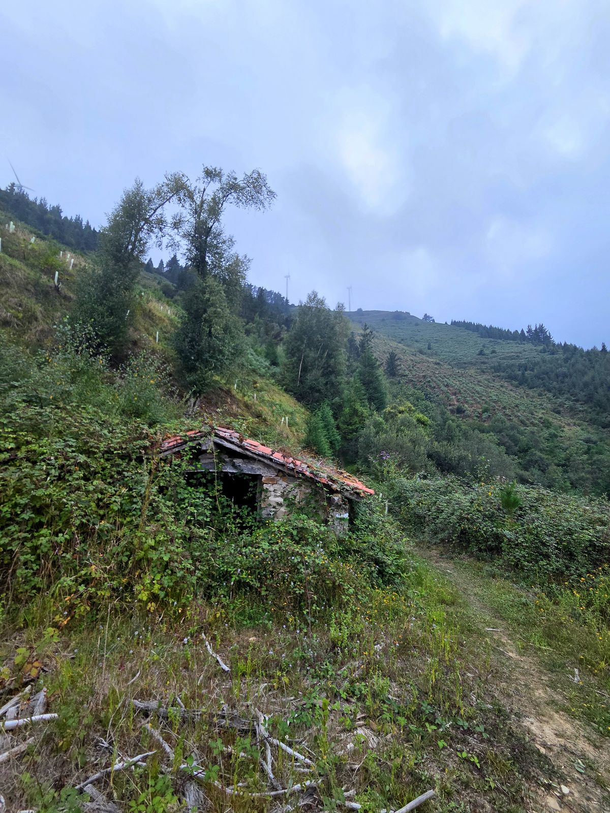 Sendero junto a una borda abandonada de tejado rojo, con los aerogeneradores al fondo
