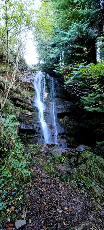 La cascada en otoño, con el agua cayendo entre musgo y rocas