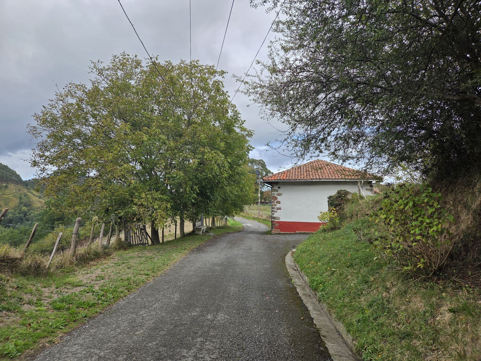 Carretera asfaltada bordeada de &aacute;rboles, con una borda peque&ntilde;a de tejado rojo y fachada blanca con una franja roja al fondo, bajo un cielo nublado