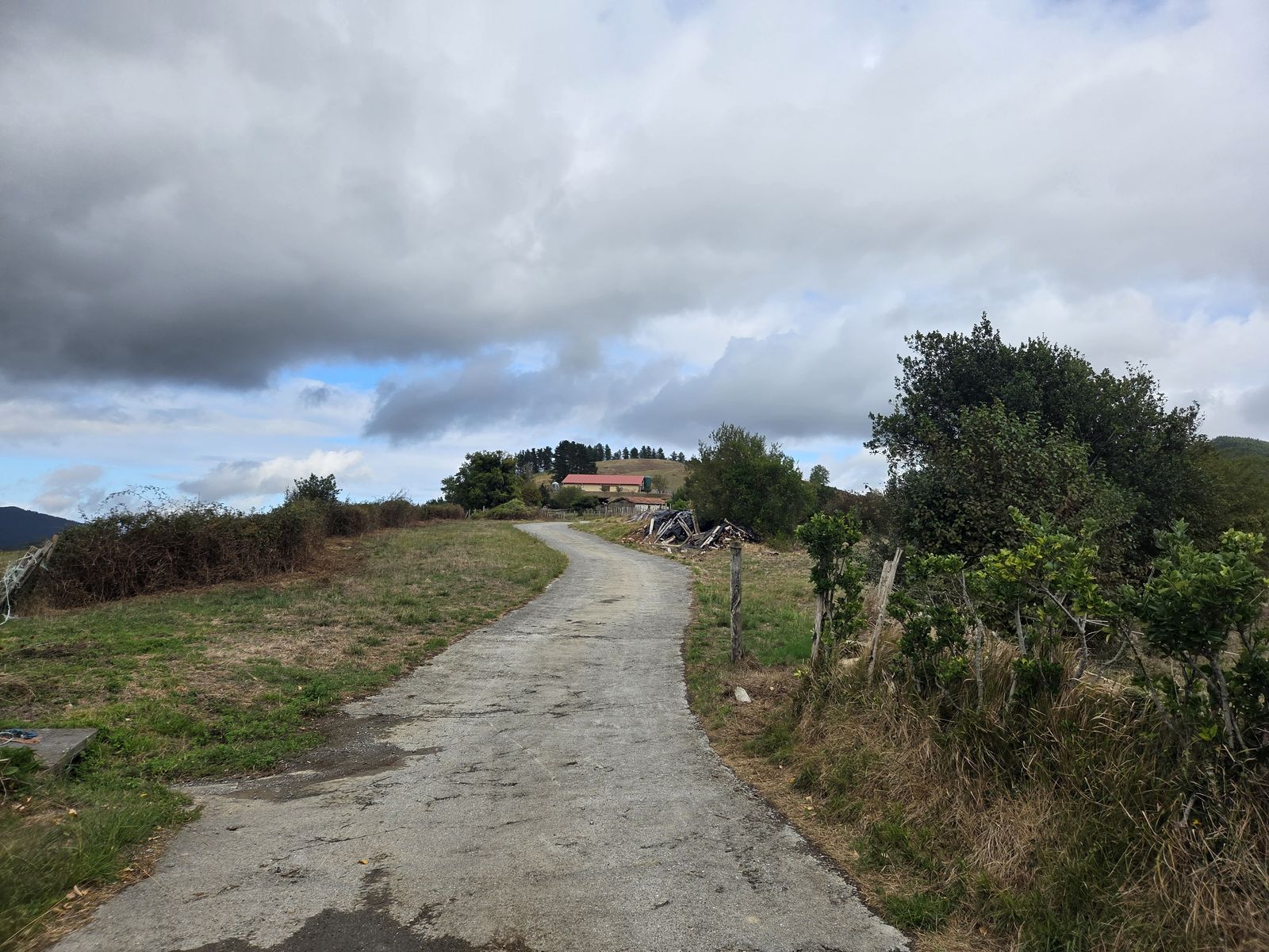 Pista de cemento entre campas, con un caser&iacute;o de tejado rojo entre pinos en lo alto de una loma al fondo