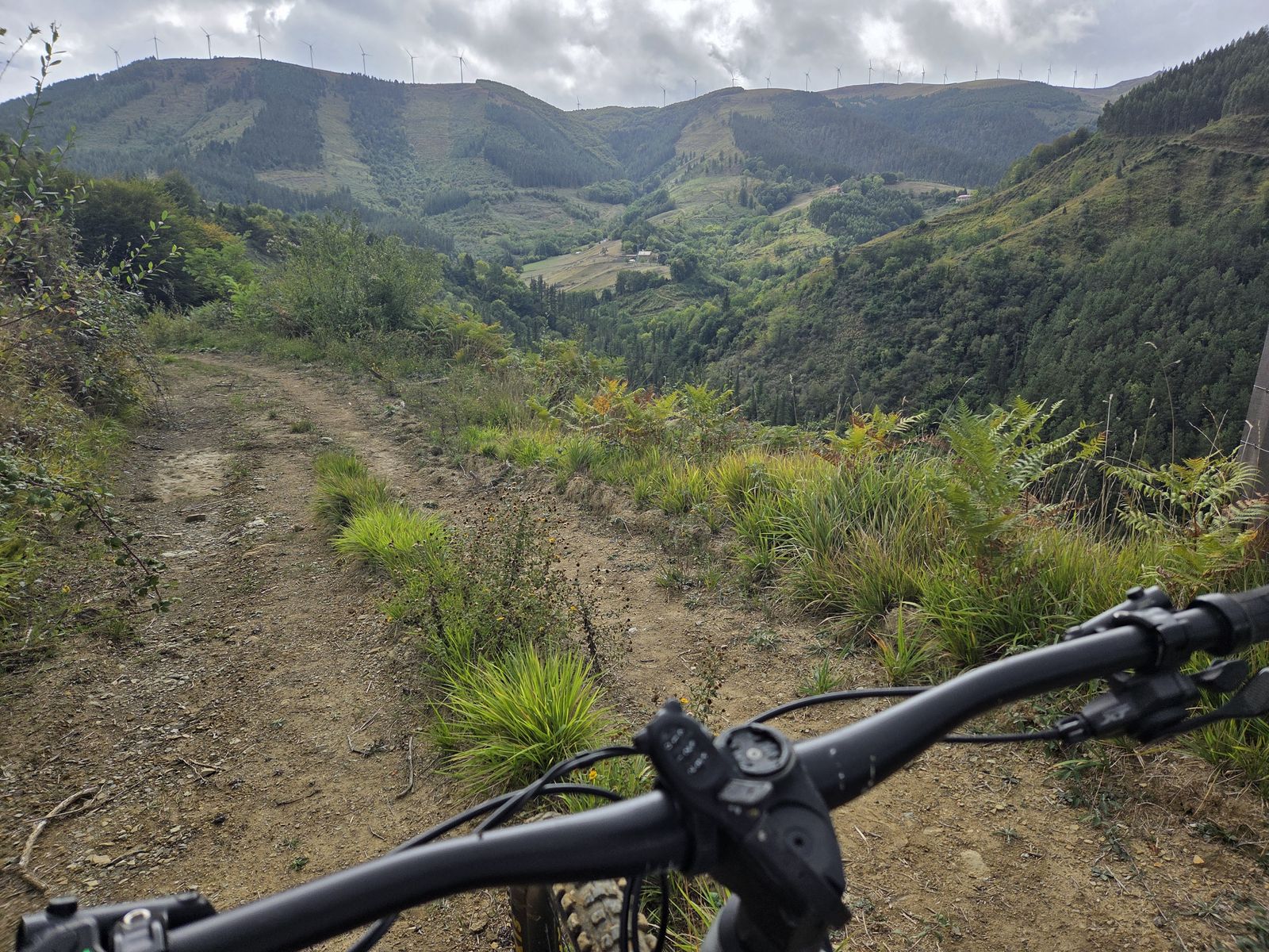 Vista de un valle boscoso desde el manillar de una bicicleta, con aerogeneradores alineados en la sierra al fondo