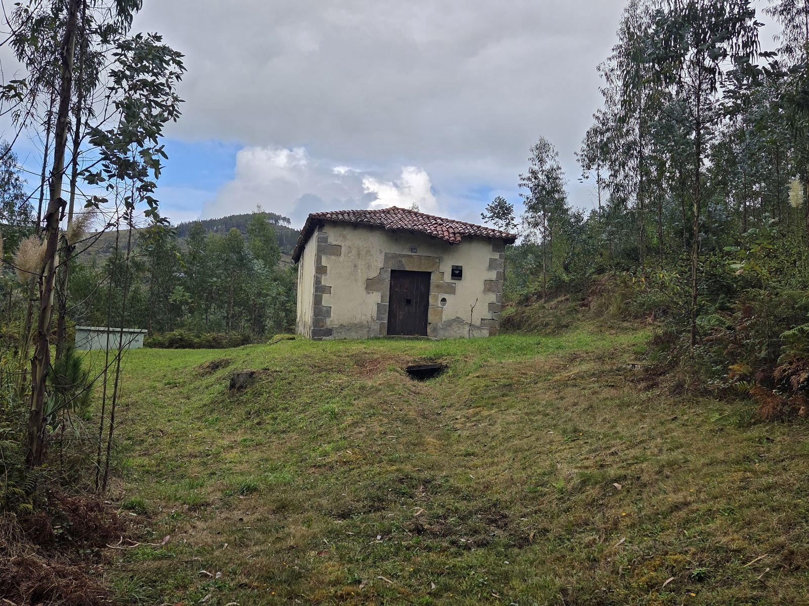 Borda de piedra y cal, con tejado de teja y puerta de madera oscura, entre eucaliptos