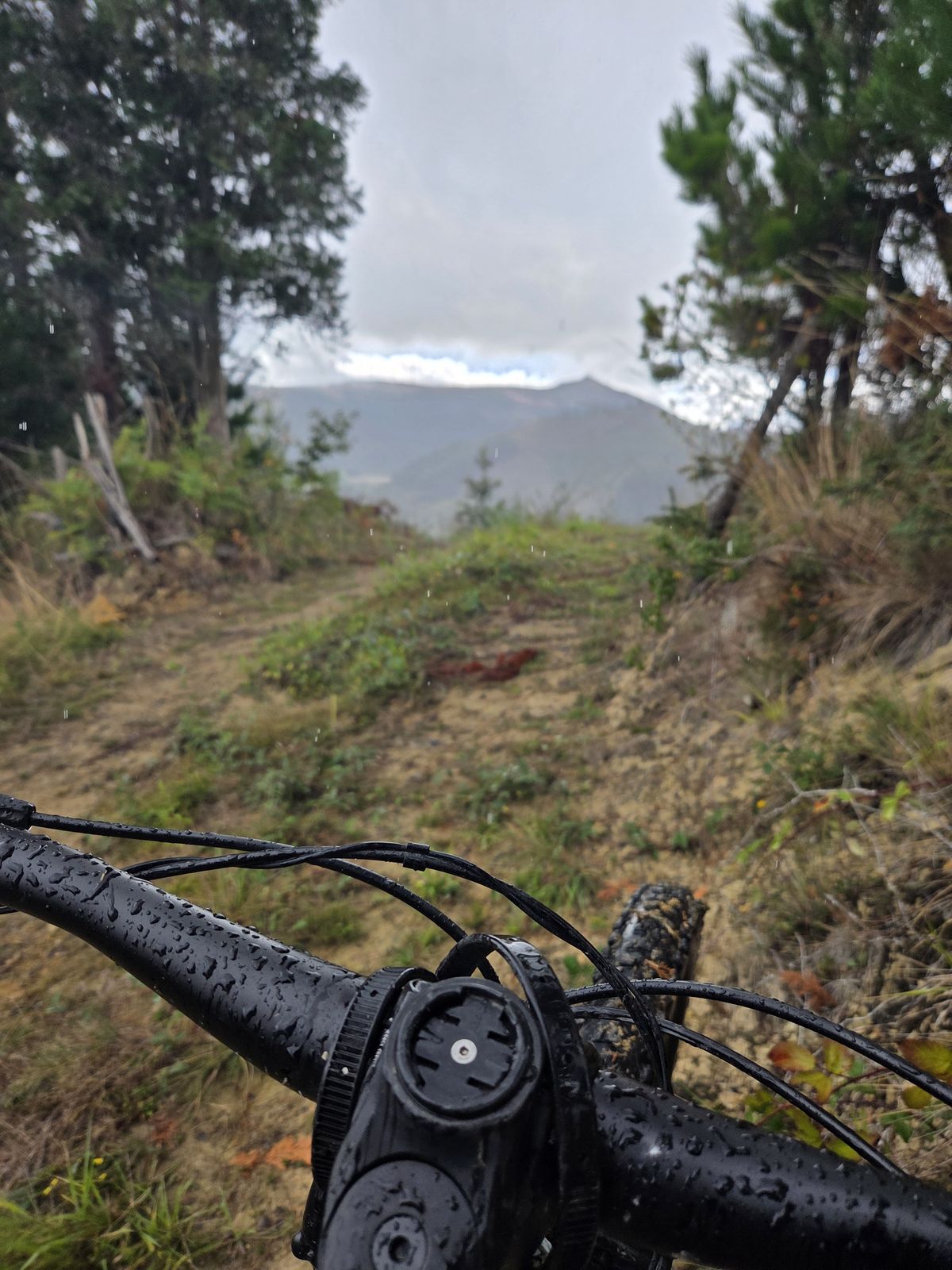 Manillar de bicicleta mojado por la lluvia en un sendero estrecho, con monta&ntilde;as entre la niebla al fondo