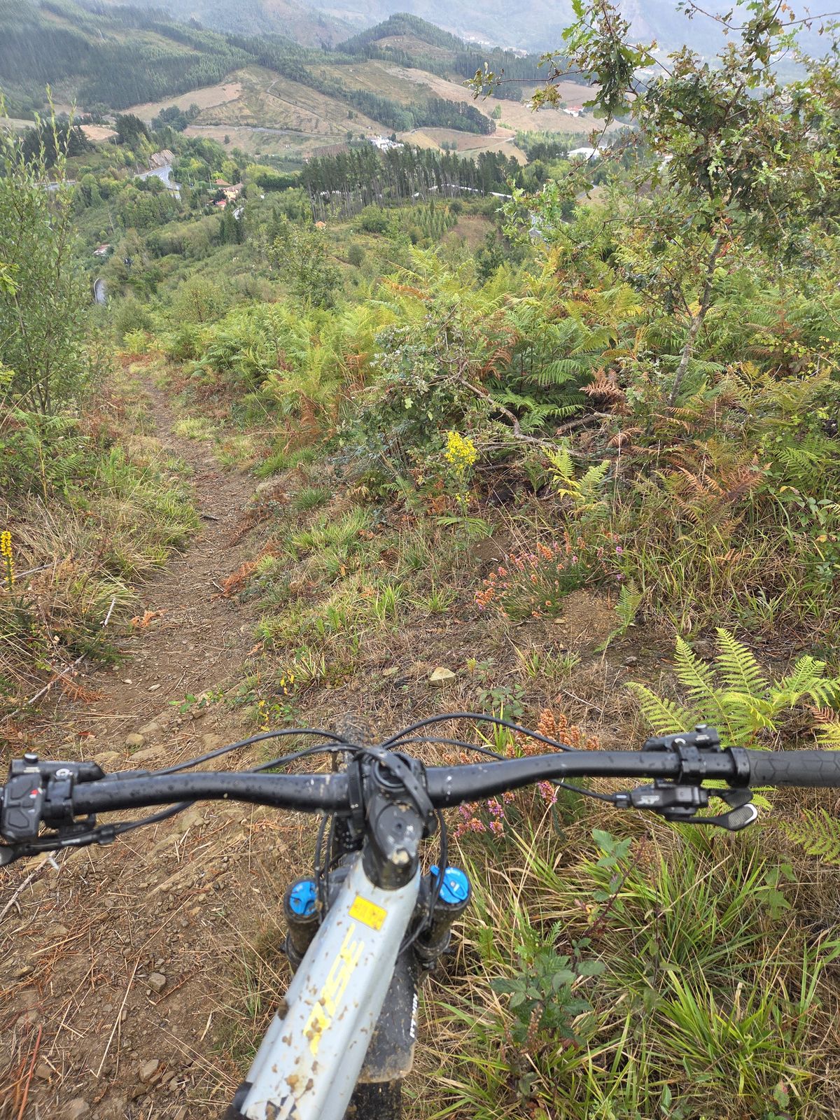 Bajada por un sendero de tierra entre helechos, con manillar de bicicleta en primer plano y un valle con caser&iacute;os al fondo