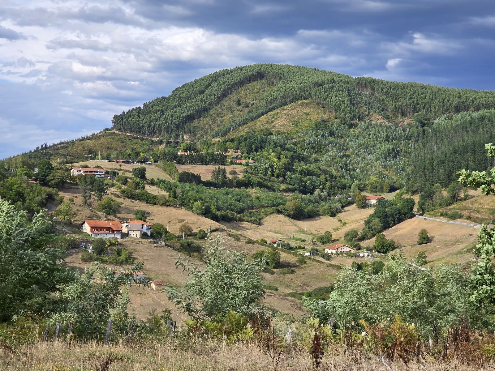 Vista del barrio de Goita, con caser&iacute;os y prados entre el bosque