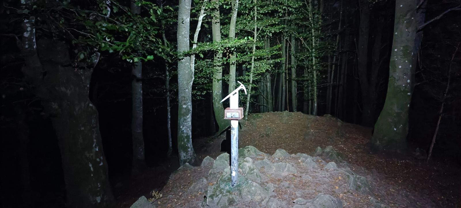 Erdella de noche: el poste de la cima, rematado con la silueta de un piolet, sobre la loma rocosa, con el hayedo cerrado alrededor