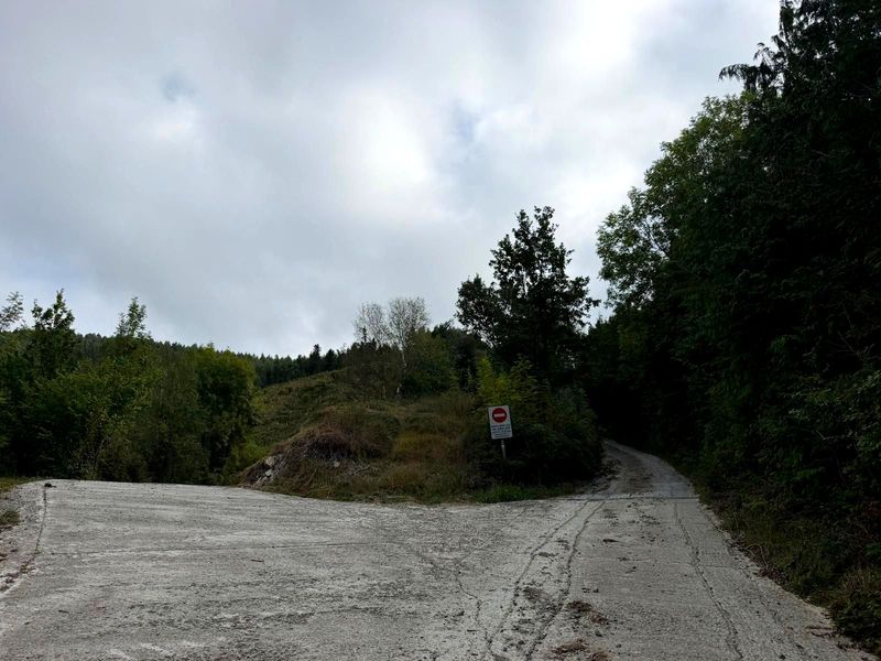 Hormigoizko pisten bidegurutzea, sarrera debekatuaren seinale batekin, pinu-birlandaketak atzealdean