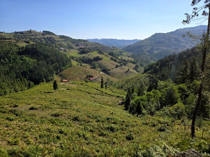 Vista del valle desde la ruta, con caseríos y bordas entre prados y bosque