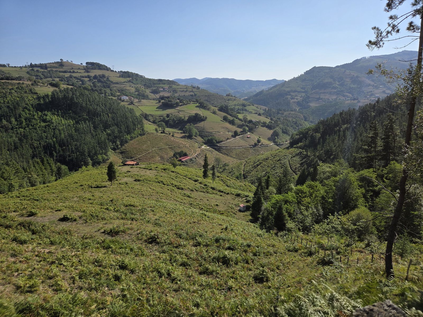 Vista del valle desde la ruta, con caseríos y bordas entre prados y bosque