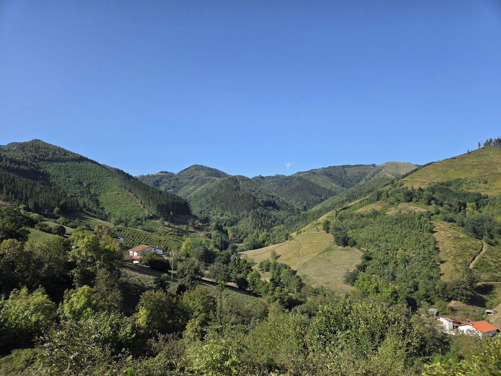 Vista panorámica del valle con un caserío blanco entre bosque y prados