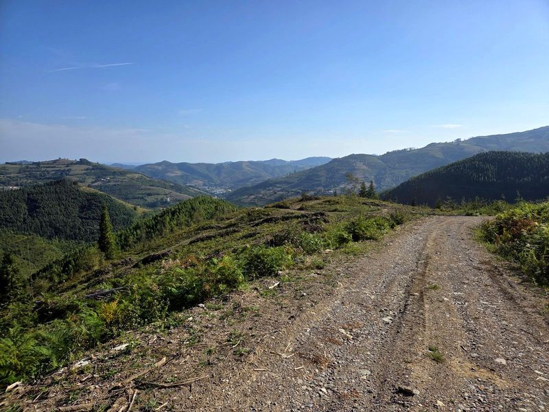 Pista de tierra en una zona de monte recién talado, con vistas al valle