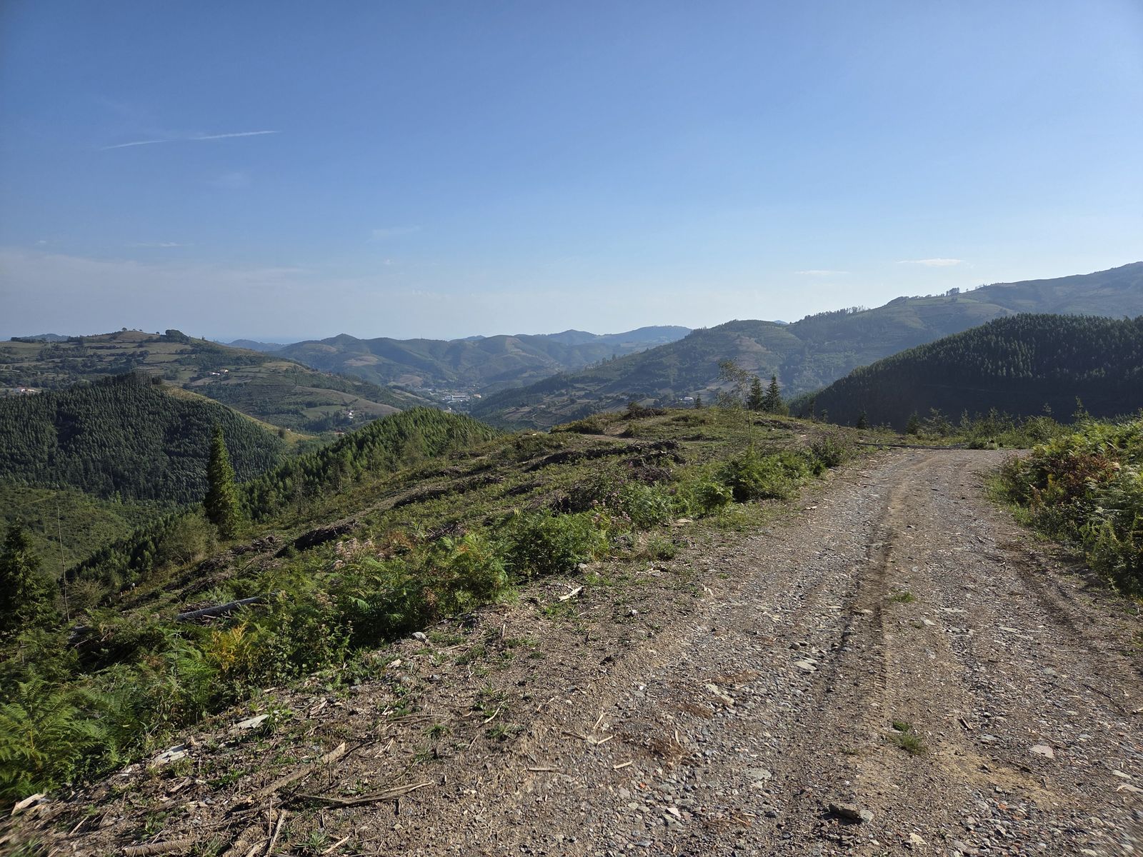 Pista de tierra en una zona de monte recién talado, con vistas al valle