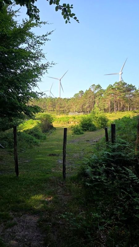 El sendero por el cresterio, con los aerogeneradores al fondo