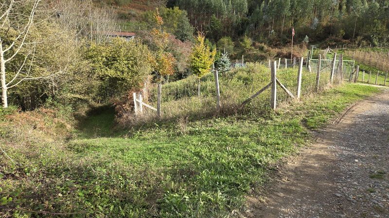 Belar-bidea harrizko pistatik ezkerretara ateratzen, alanbre-hesi baten ondoan eta udazkeneko koloreko zuhaitzen artean