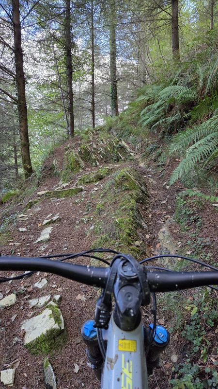 Igoera gogorra harri-lauza eta goroldioarekin pinu eta iratze artean, e-bikearen eskulekutik ikusita