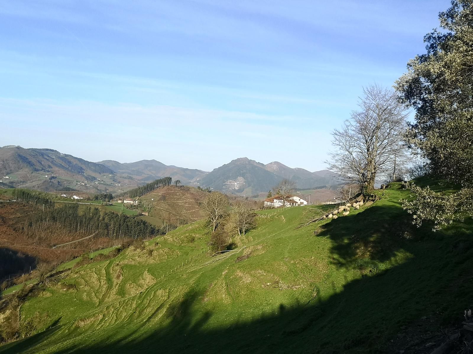 Caser&iacute;o blanco y ovejas entre prados verdes, con los montes al fondo