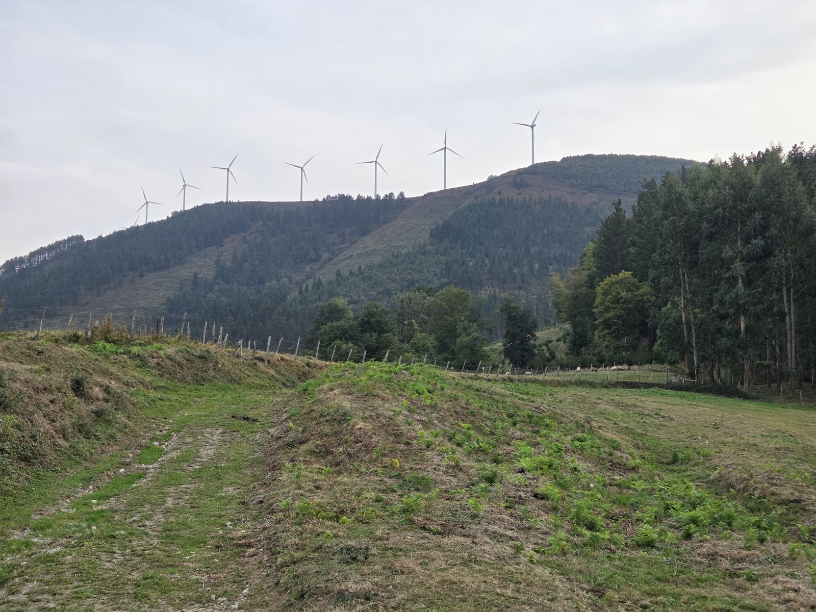 Belarrezko bidea soroen artean, Iturzuriko gailurra eolikoez koroatuta