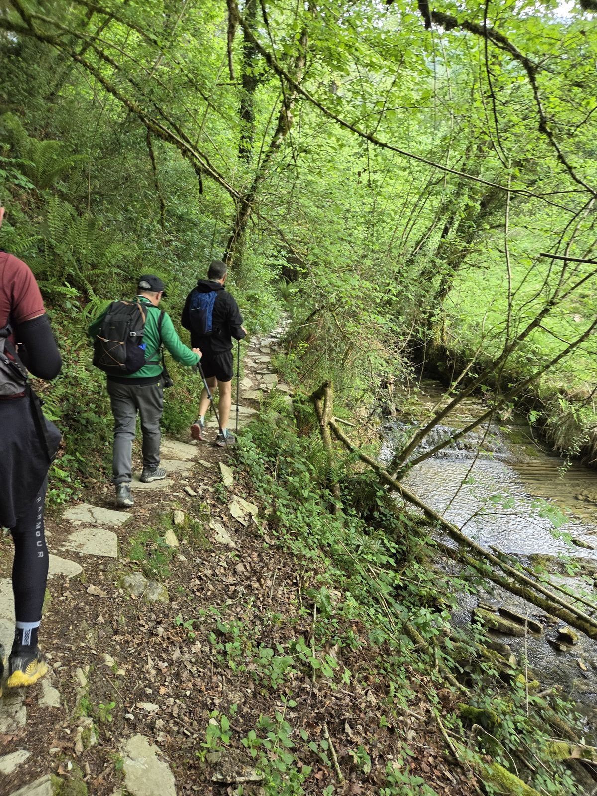 Grupo caminando por un sendero de piedra junto a un arroyo, entre bosque