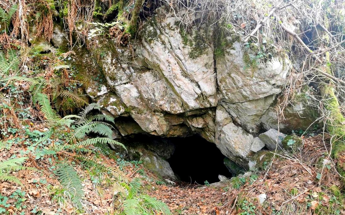 Entrada de la cueva de Mundioko Koba, escondida entre helechos y rocas en el bosque