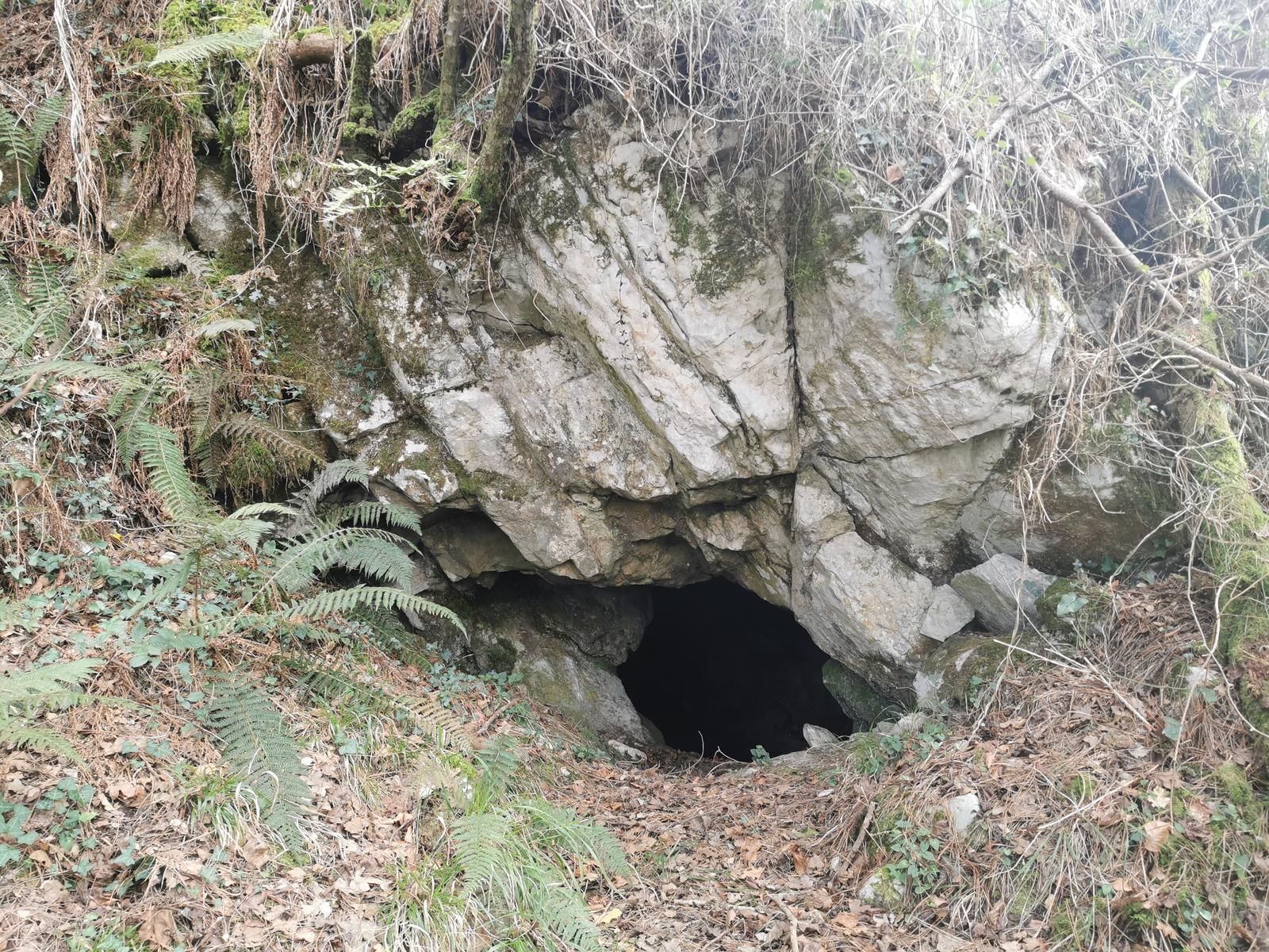 Entrada de la cueva de Mundioko Koba, escondida entre helechos y rocas en el bosque