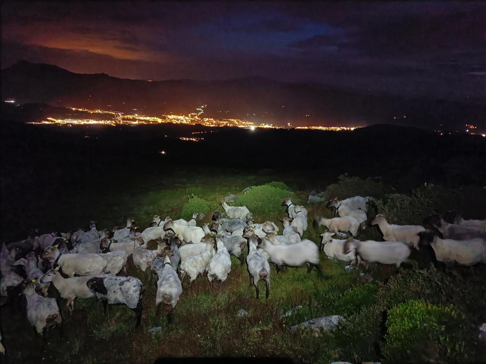 Un reba&ntilde;o de camino al Oiz de noche, con las luces de un pueblo al fondo