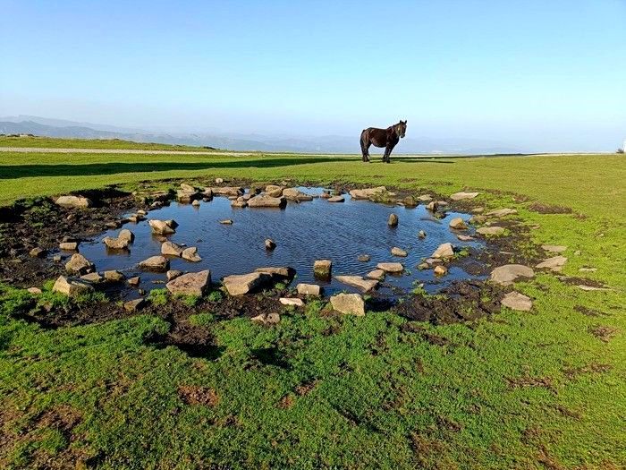 Caballo junto a una charca de piedras en la cima del Oiz