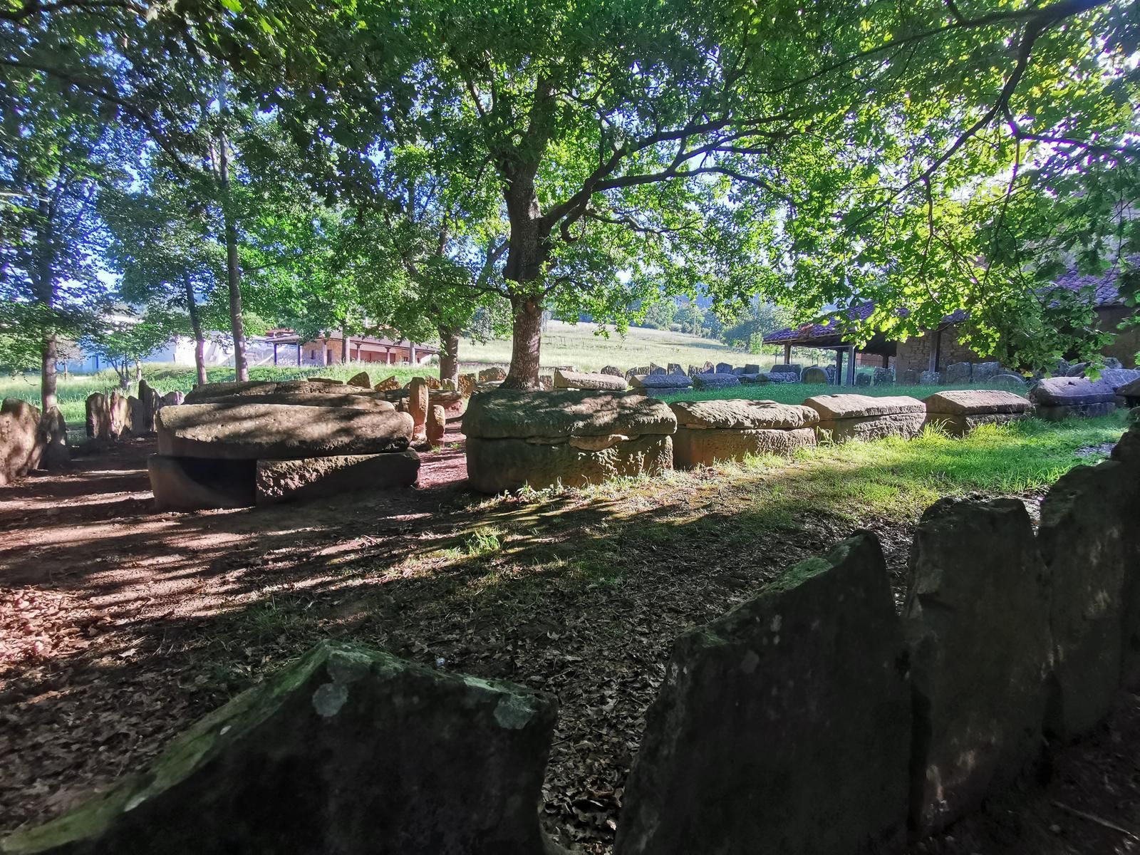 Fila de sarc&oacute;fagos bajo los &aacute;rboles, Necr&oacute;polis de Argi&ntilde;eta