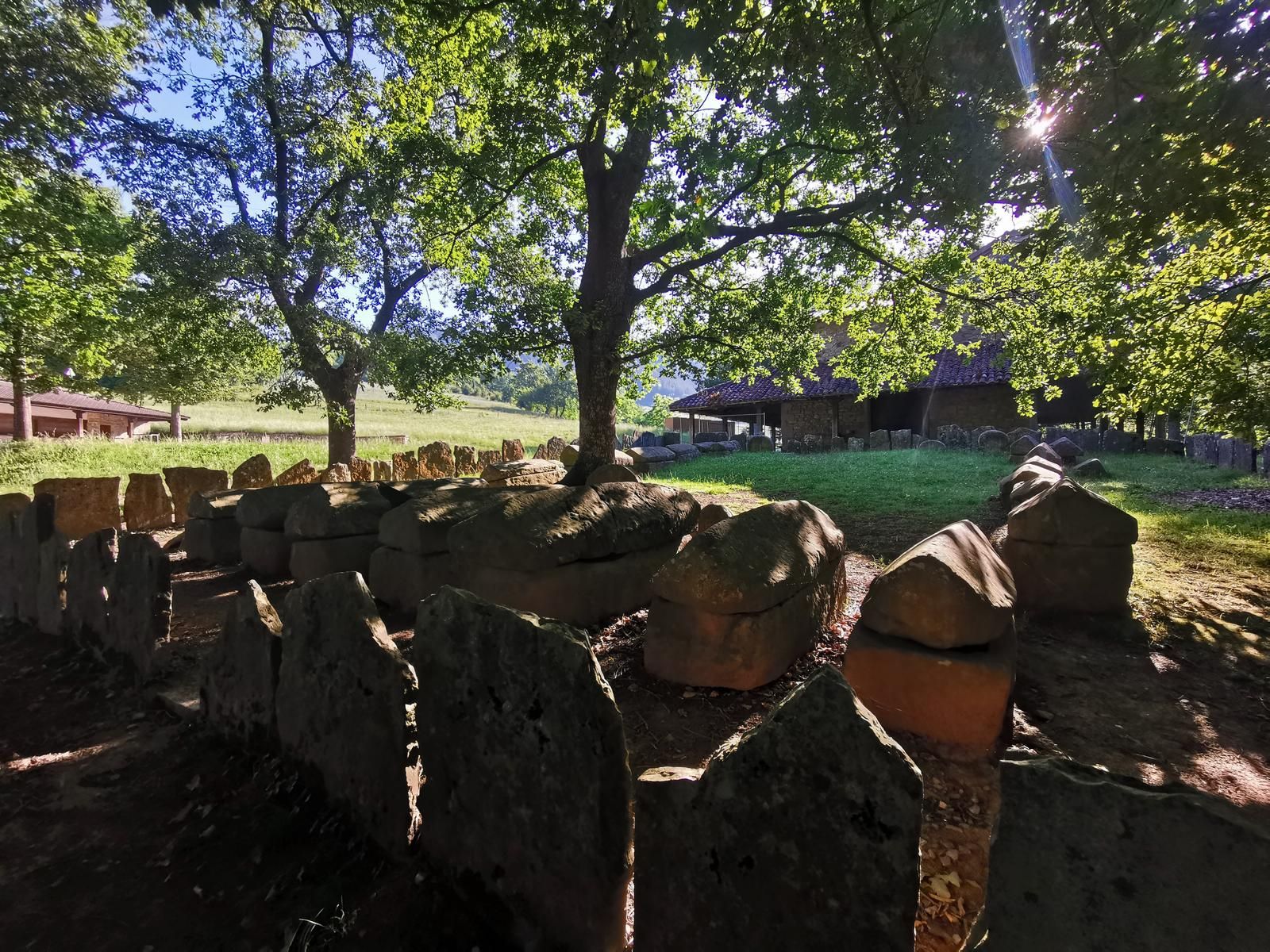 Sarc&oacute;fagos bajo los robles de la Necr&oacute;polis de Argi&ntilde;eta, con la ermita al fondo