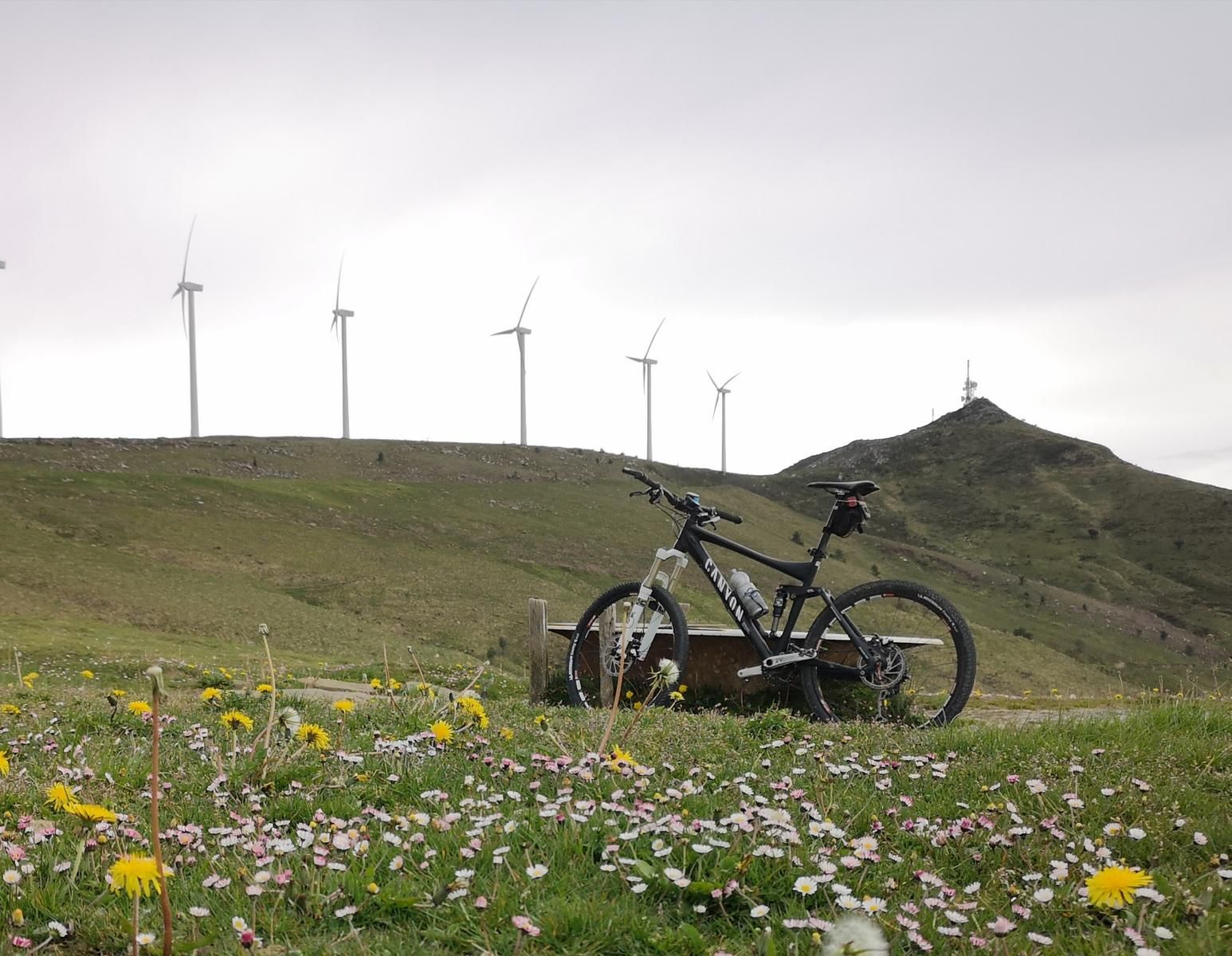 La bicicleta junto al abrevadero de piedra, entre margaritas y dientes de le&oacute;n, con los aerogeneradores del Oiz detr&aacute;s