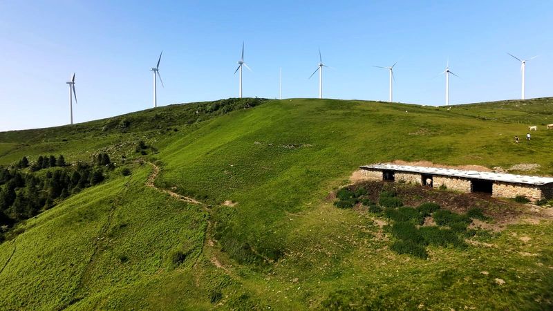 Harrizko borda landan, gailurreko eolikoak justu gainean eta ganadua inguruan