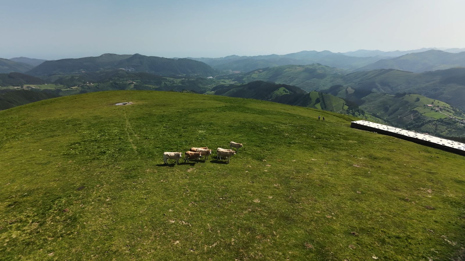 Vacas en la campa de la parte alta, con el tejado de la borda a la derecha y los valles del entorno al fondo