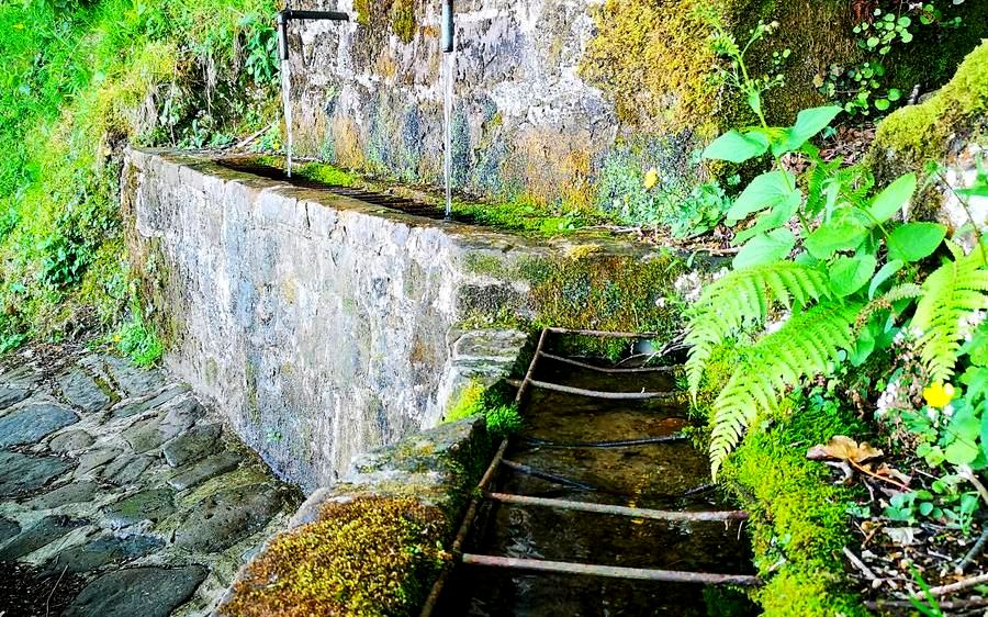 Fuente de piedra con dos caños y musgo en el canal de agua