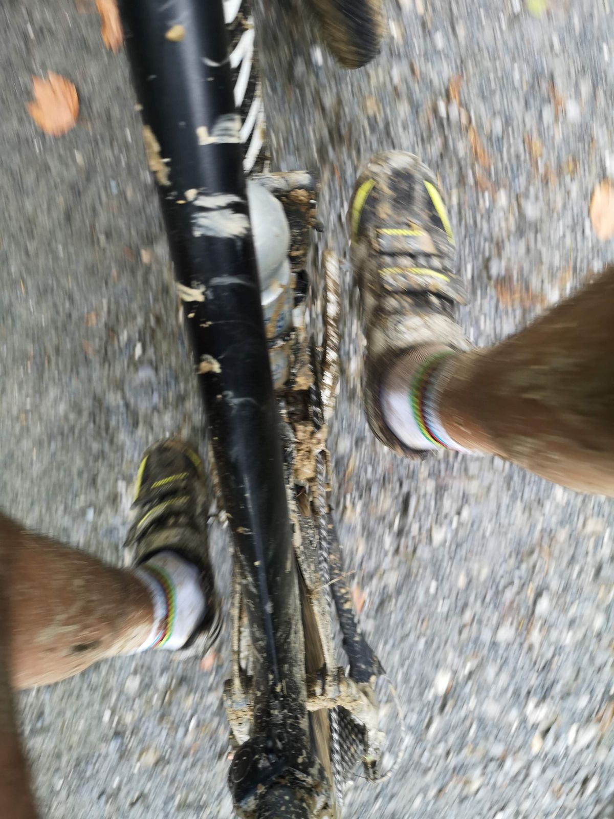 Pedalak eta oinak lokaztuta, legar eta hosto arteko bide baten gainean