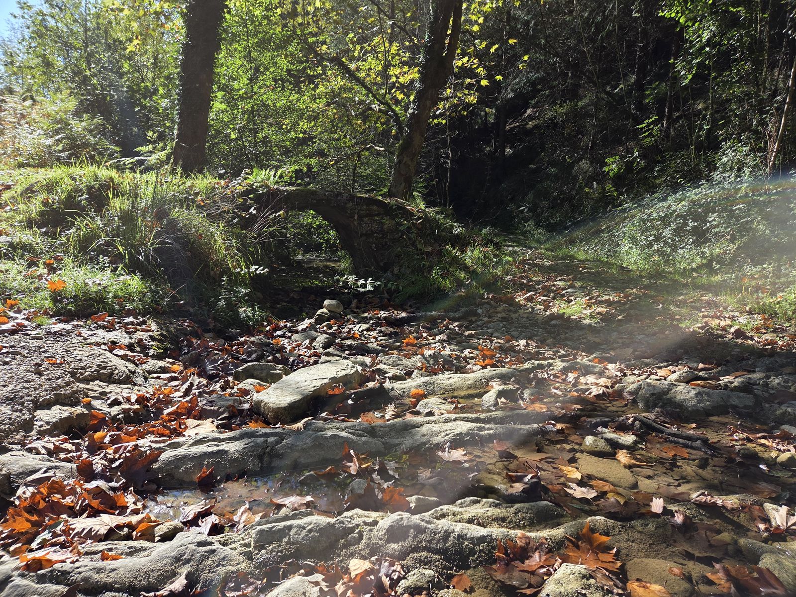 Puente de piedra cubierto de musgo sobre un arroyo, entre hojas ca&iacute;das
