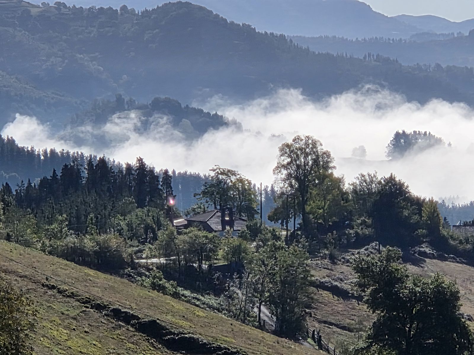 Casa entre la niebla, vista desde lejos entre el arbolado