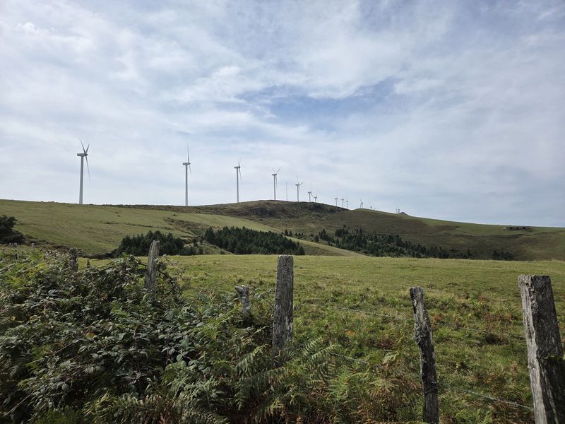 Oizko parke eolikoko aerosorgailuak, egurrezko hesidun larre batetik ikusita