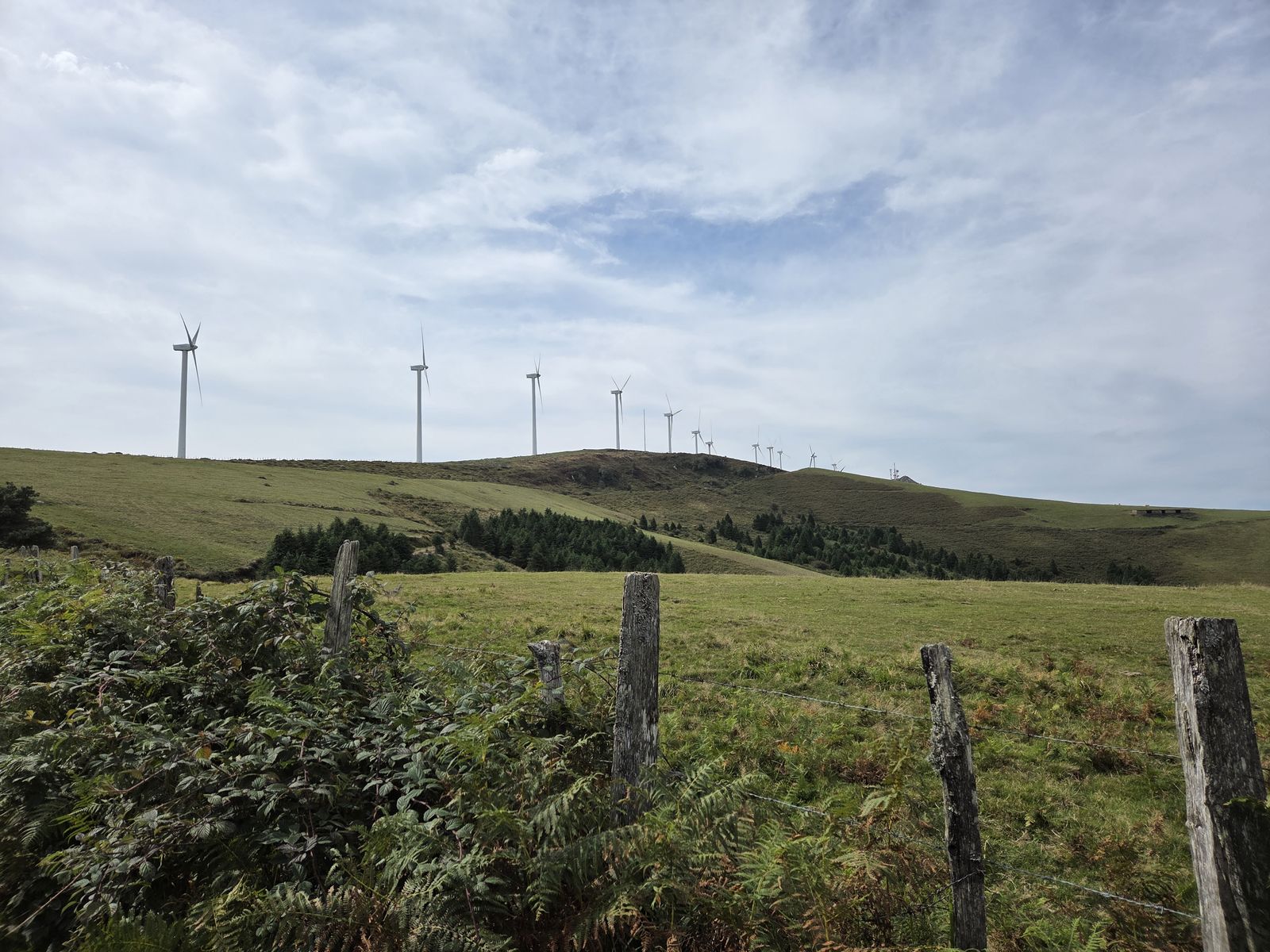 Oizko parke eolikoko aerosorgailuak, egurrezko hesidun larre batetik ikusita