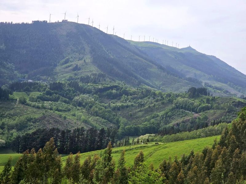 Durangaldeko bistak igoeratik, eolikoak atzealdean