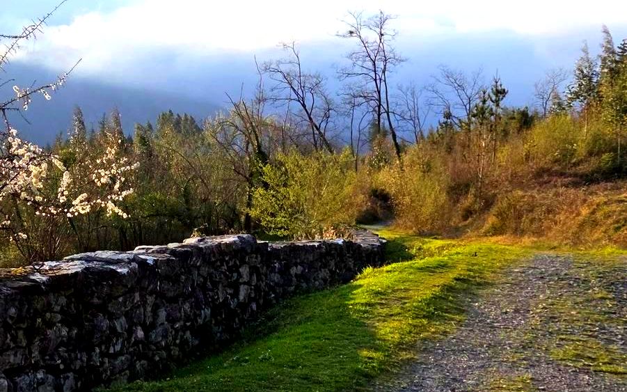 Pista de cemento y piedra en la ruta de Trabakua