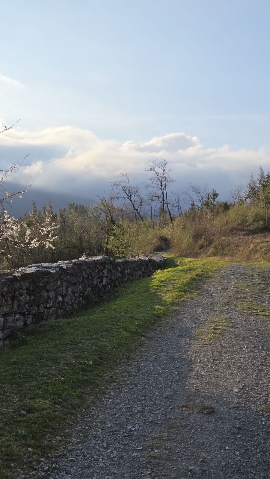 Pista de cemento y piedra en la ruta de Trabakua