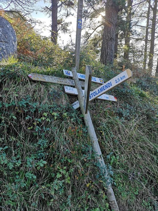 Poste de se&ntilde;ales de madera en el bosque con las indicaciones hacia Arno y Ormola
