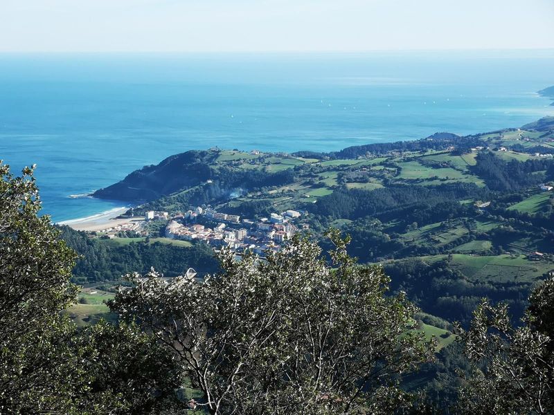 Deba y su playa vistas desde lo alto de Arno, con el mar al fondo entre las ramas de una encina