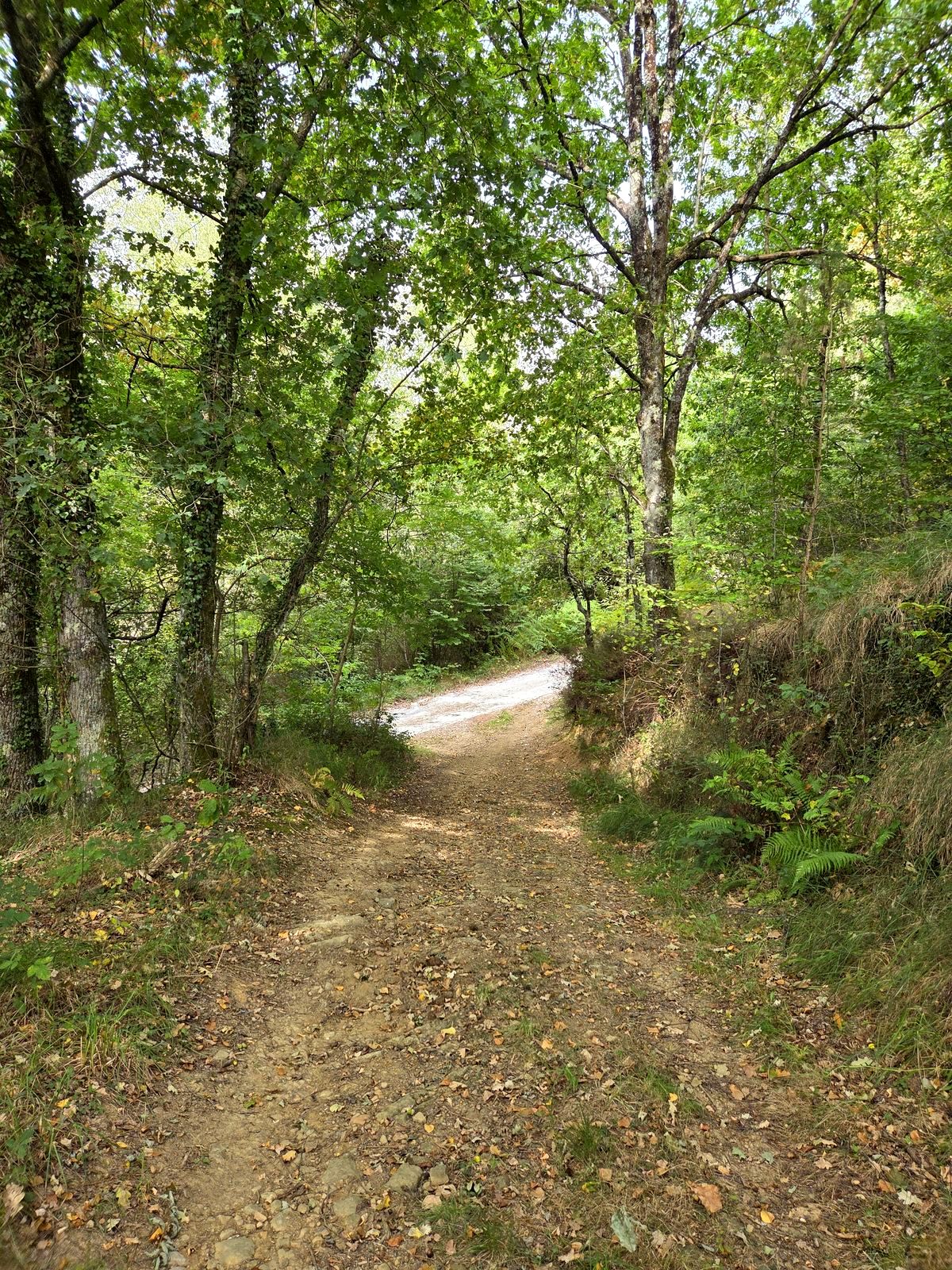 Ikuspegi panoramikoa Zengotitaganera igotzen denean