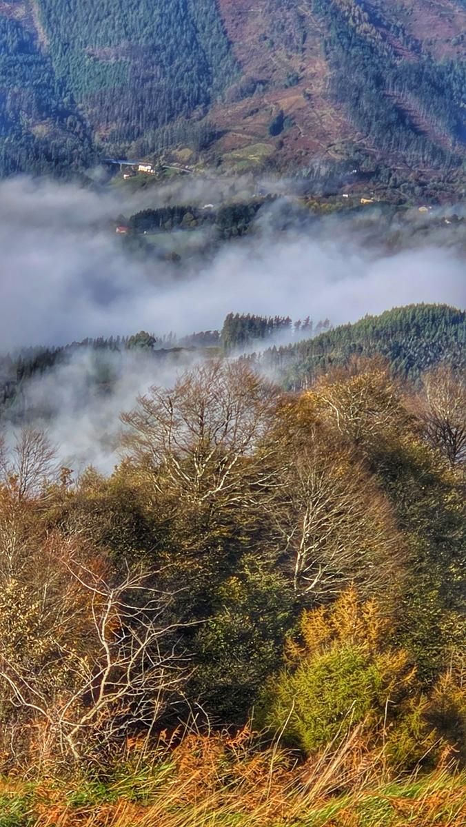 Nubes bajas en el valle, con el hayedo en tonos de oto&ntilde;o en primer plano