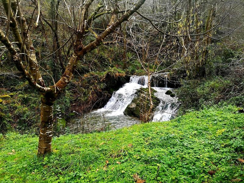 Cascada entre &aacute;rboles, en el bosque cerca de Iturreta