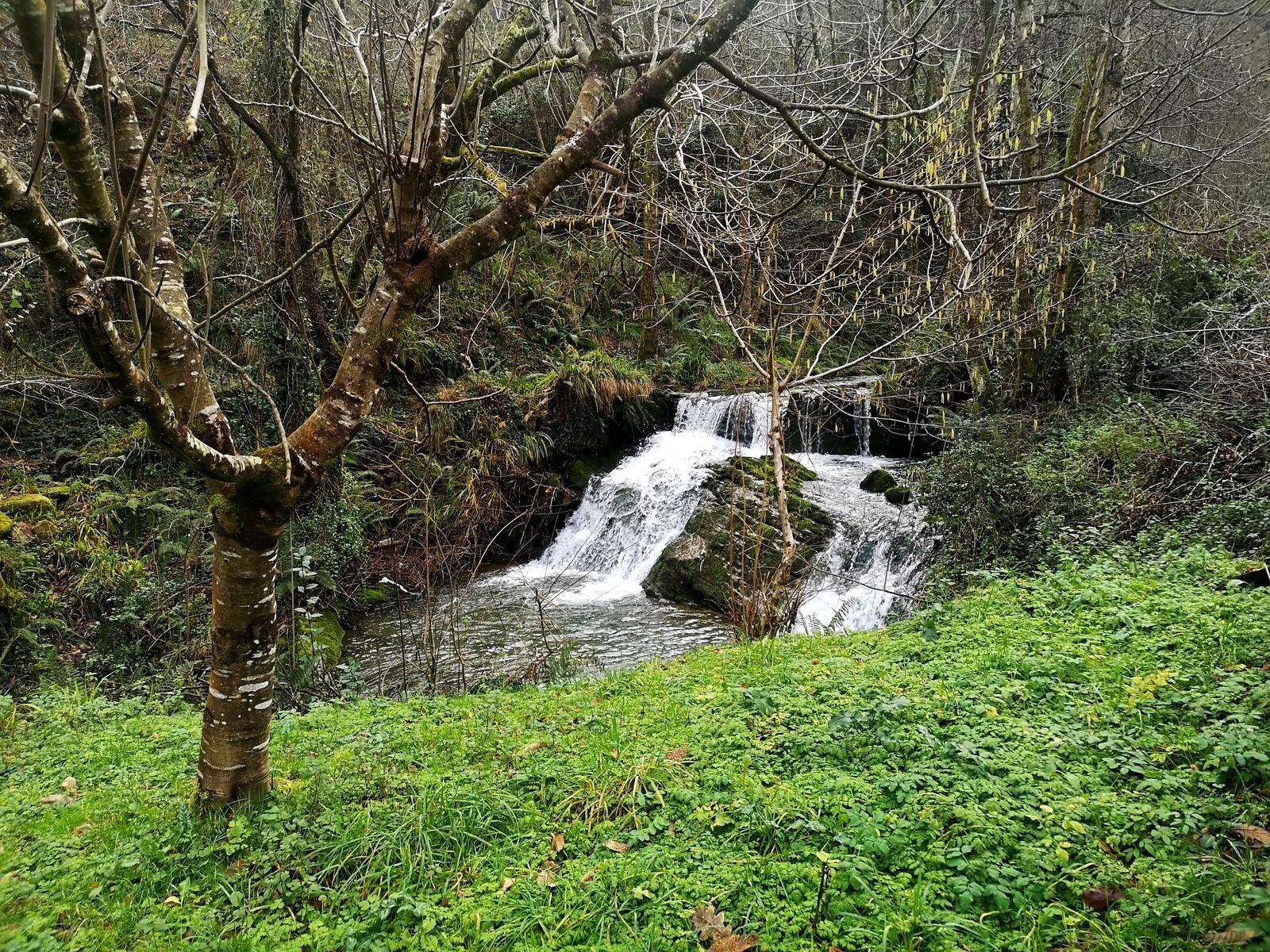 Cascada entre &aacute;rboles, en el bosque cerca de Iturreta