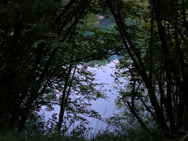La presa de Aixola entre los &aacute;rboles, con la niebla asomando sobre el agua